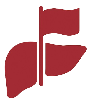 FLAG Model Logo Icon